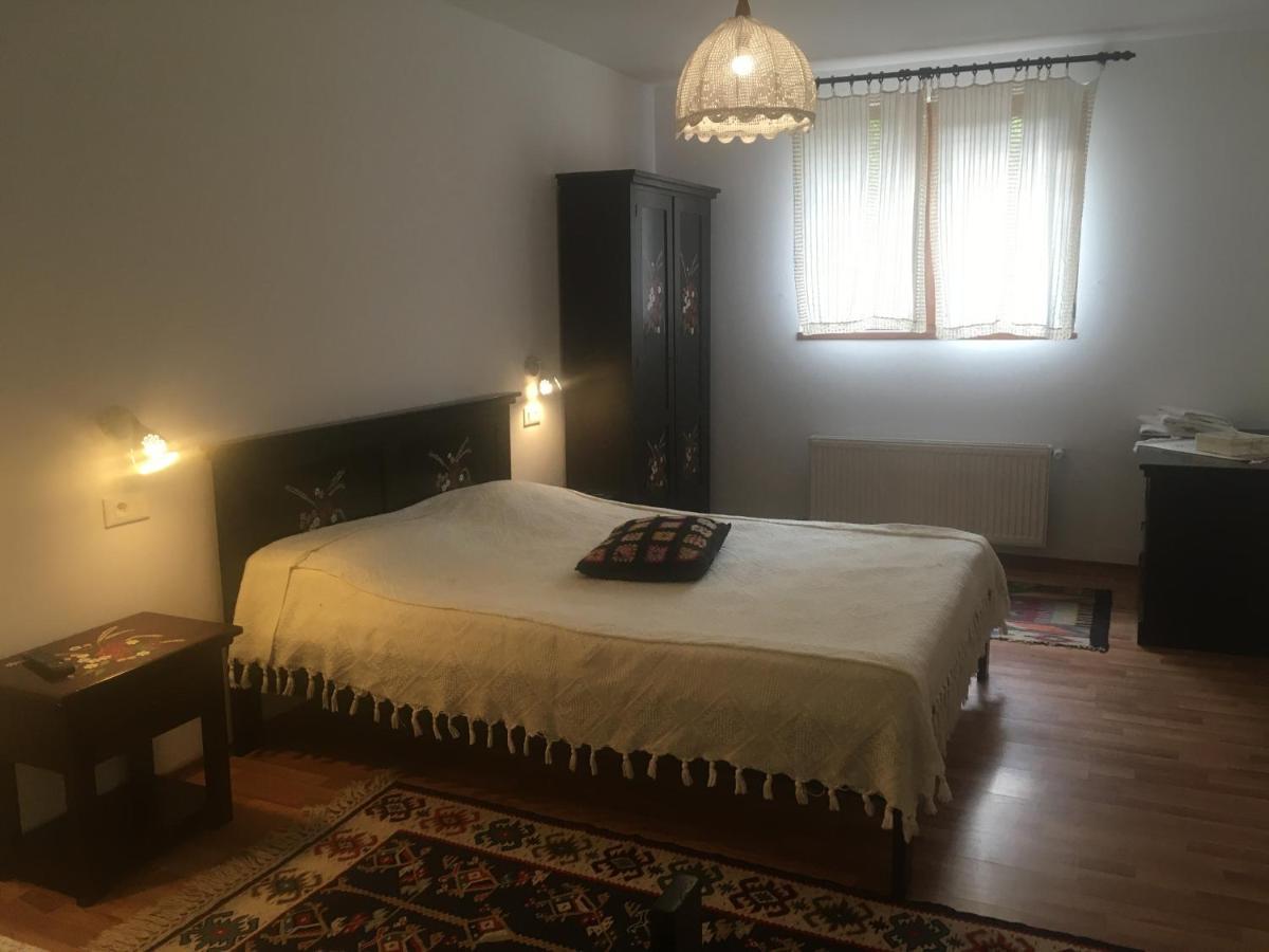 Pensiunea Ambiance Piatra Neamţ Zewnętrze zdjęcie