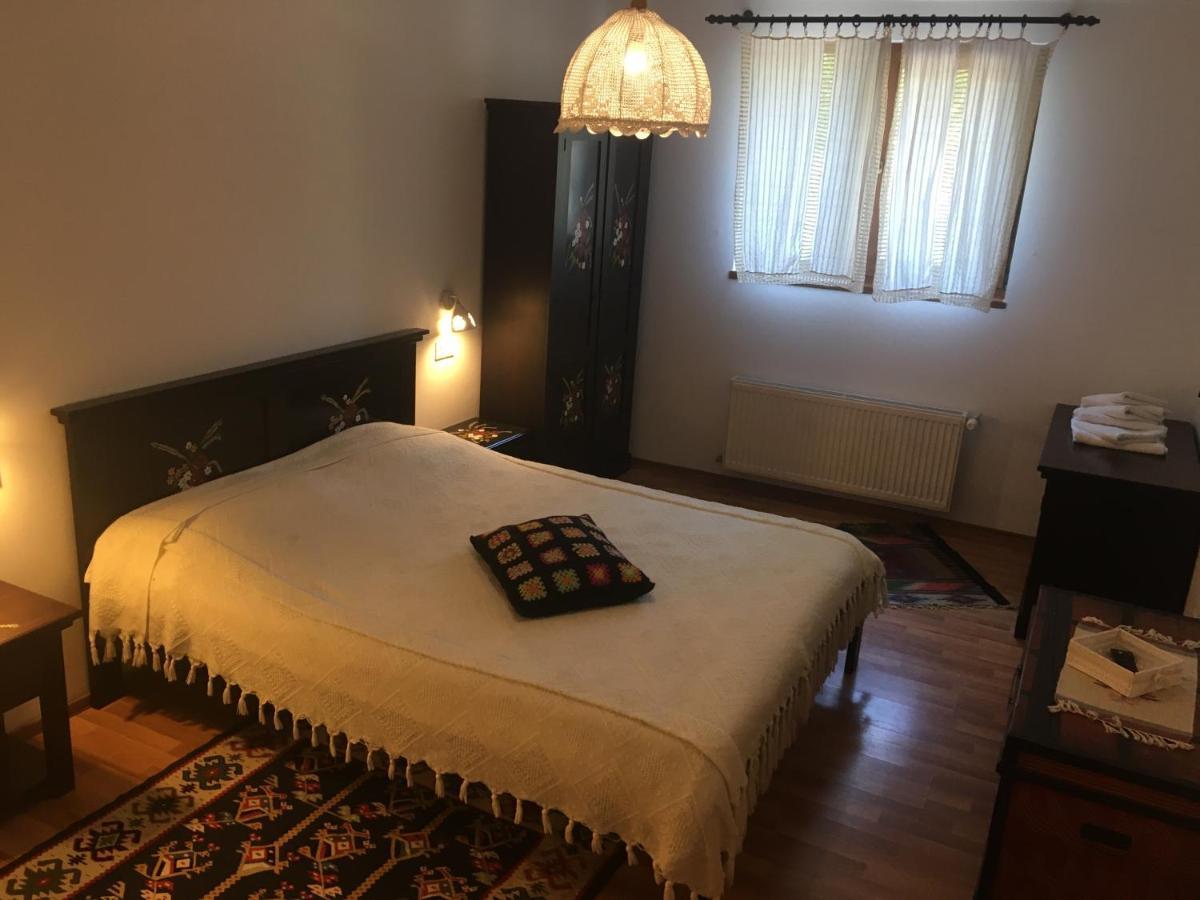 Pensiunea Ambiance Piatra Neamţ Zewnętrze zdjęcie