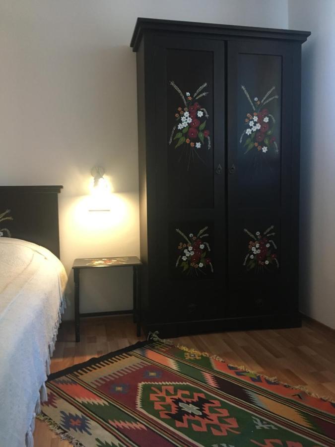 Pensiunea Ambiance Piatra Neamţ Zewnętrze zdjęcie