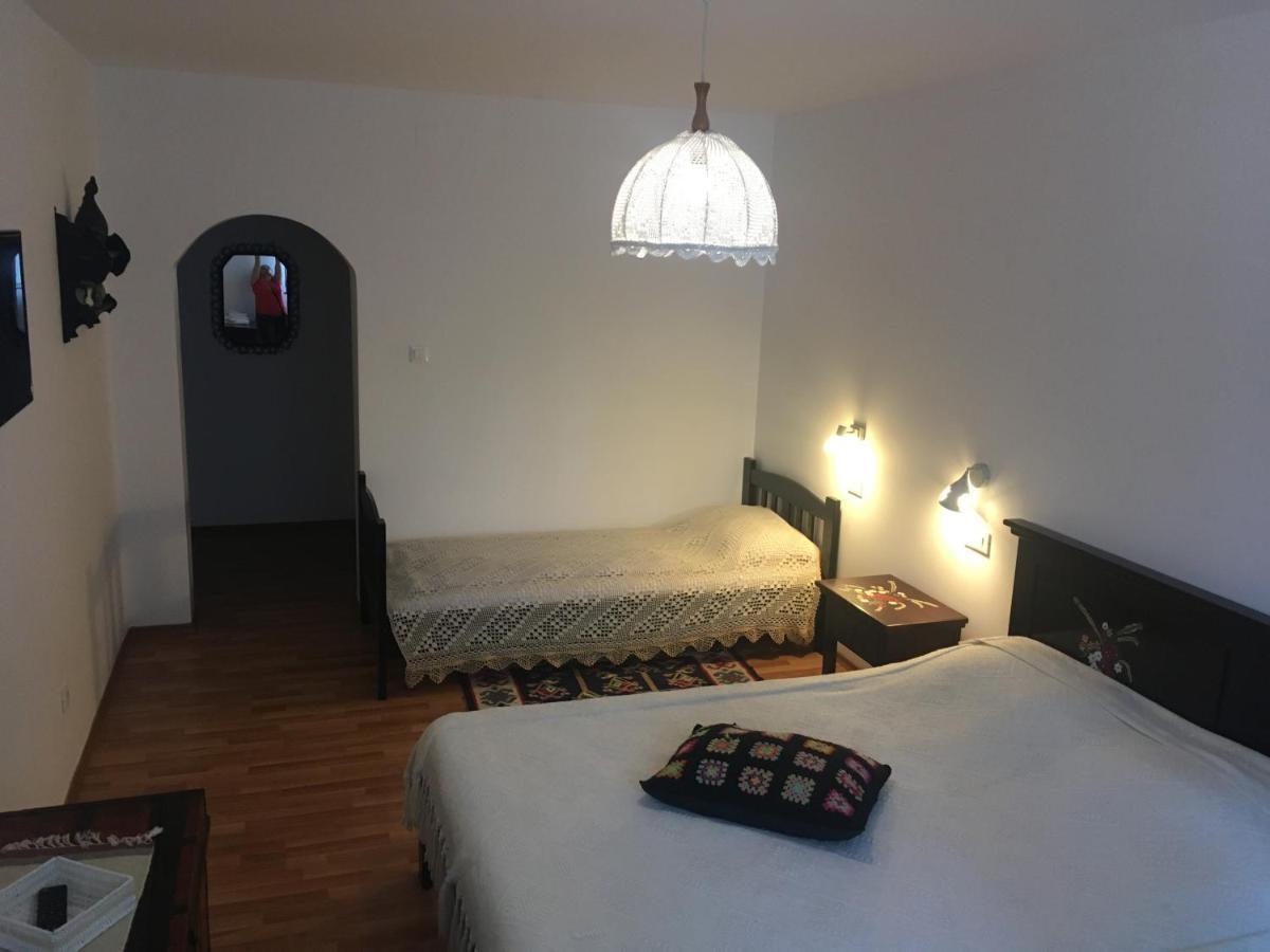 Pensiunea Ambiance Piatra Neamţ Zewnętrze zdjęcie