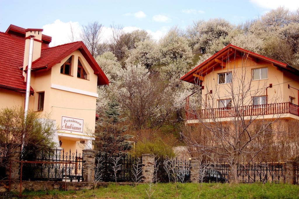 Pensiunea Ambiance Piatra Neamţ Zewnętrze zdjęcie