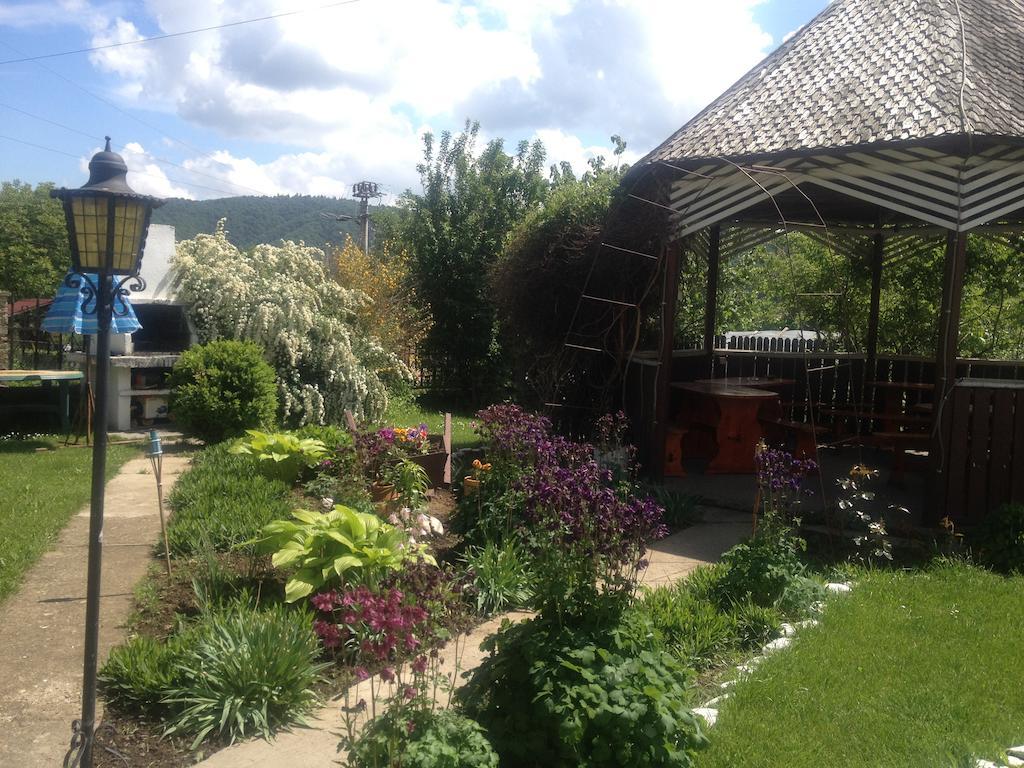 Pensiunea Ambiance Piatra Neamţ Zewnętrze zdjęcie