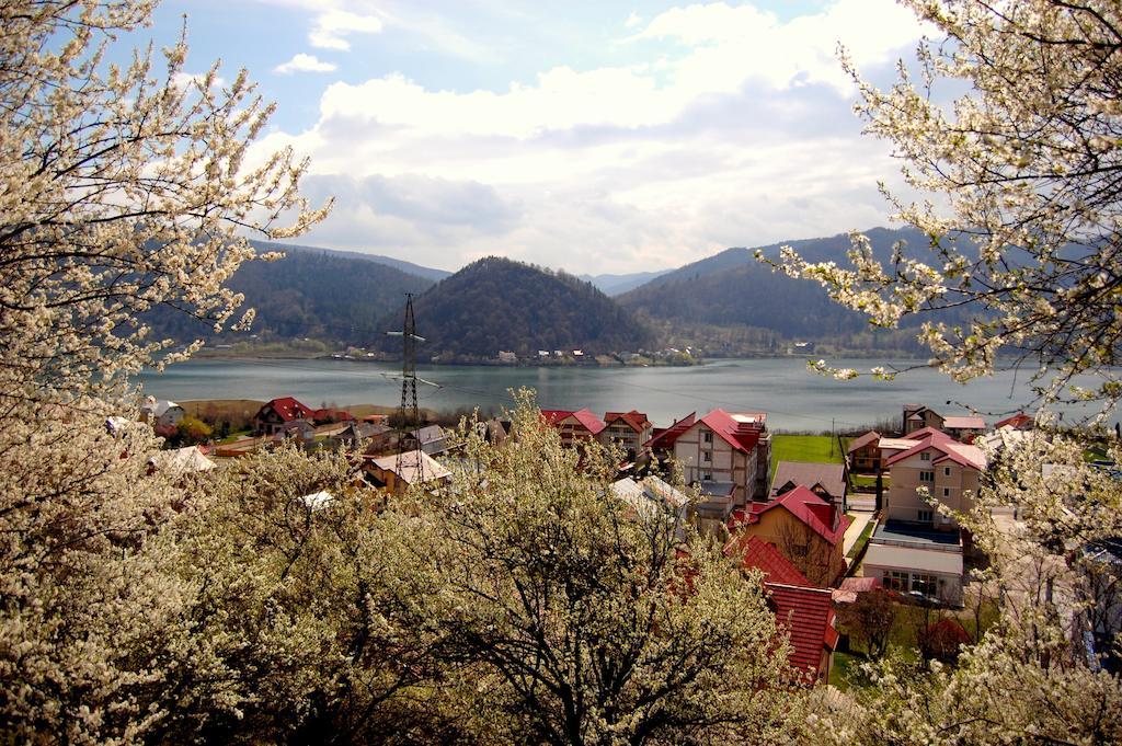 Pensiunea Ambiance Piatra Neamţ Zewnętrze zdjęcie
